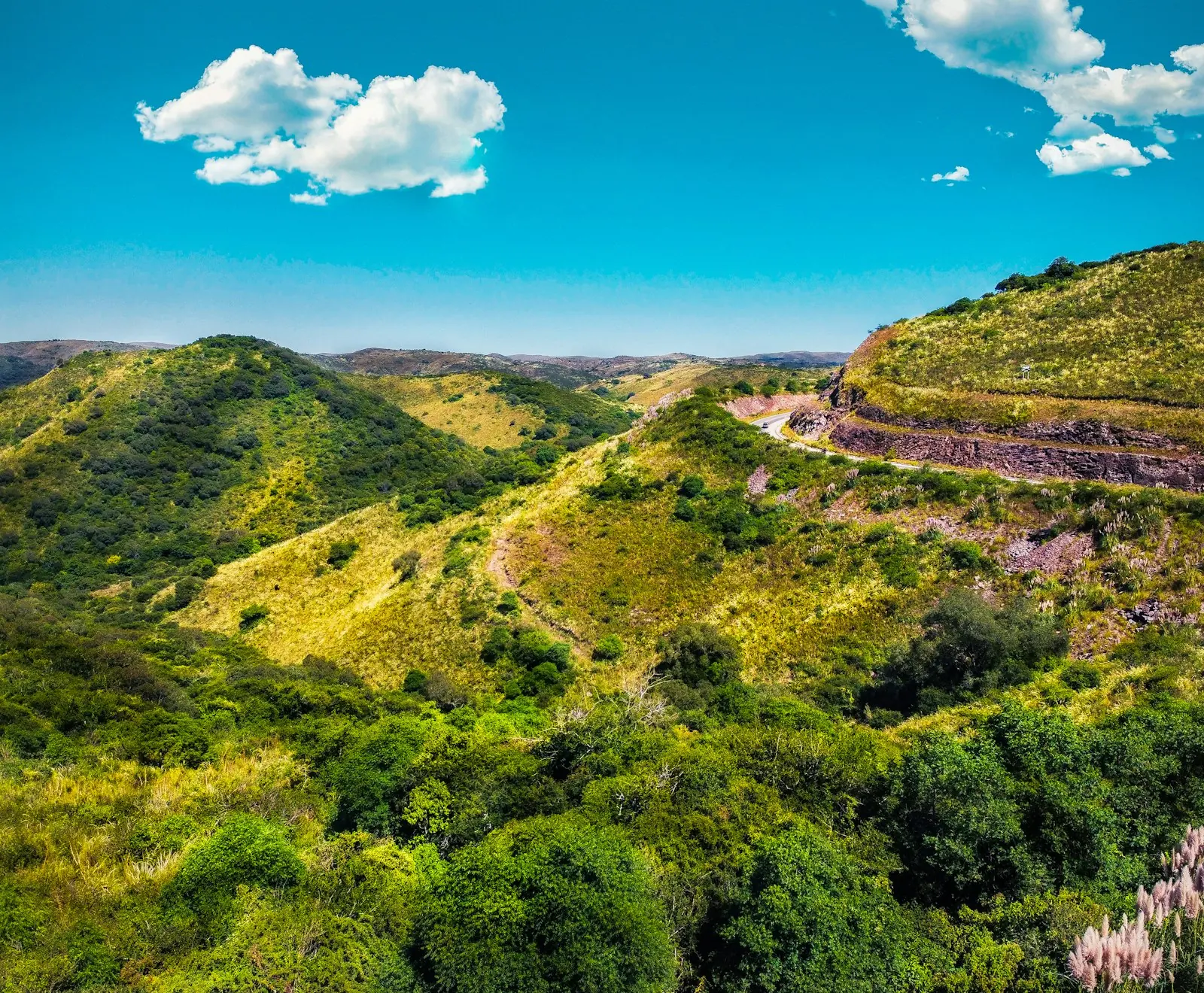 Lomas verdes de las sierras de Córdoba